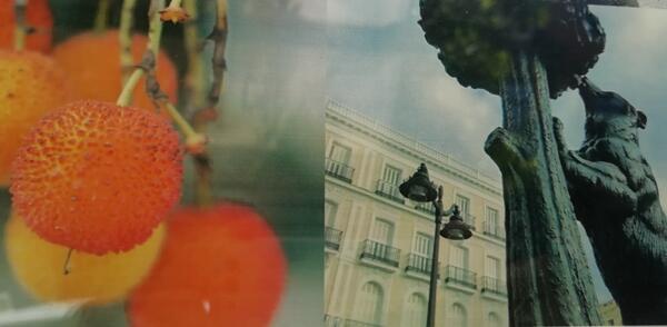 Madrid