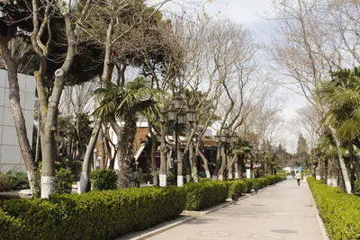 Baku