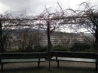 Zurich