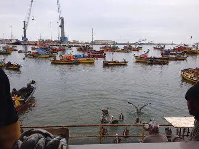 Arica