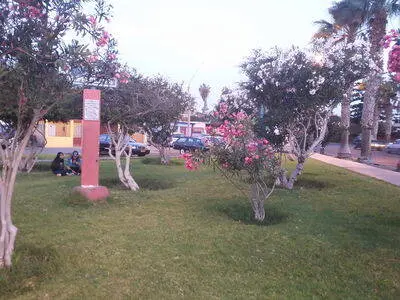 Arica