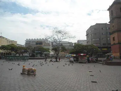 Cali ciudad