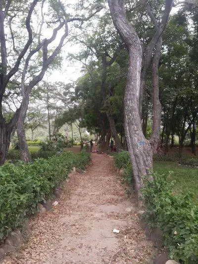 Cucuta
