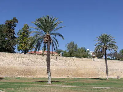 Nicosia