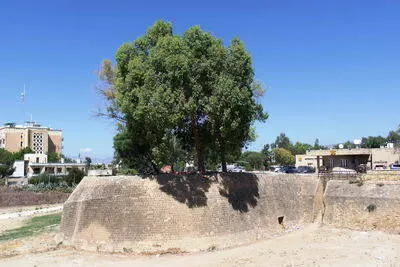 Nicosia