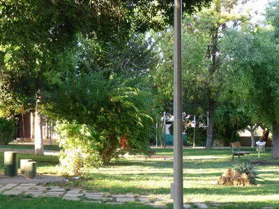 Nicosia