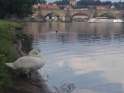 Malá Strana
