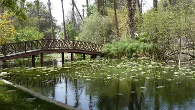 El Cairo
