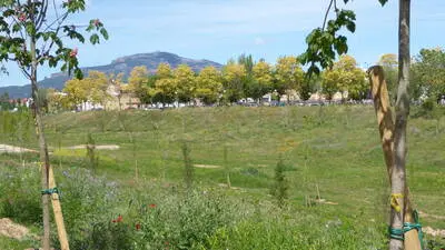 Sabadell