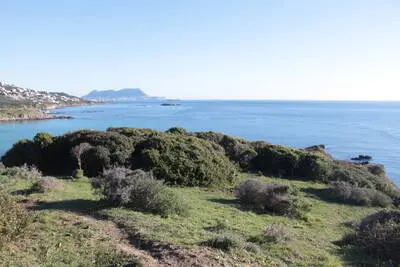 Algeciras