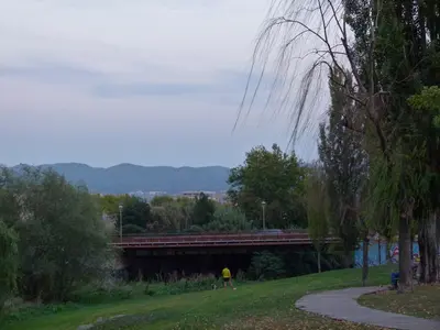 Vic