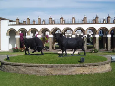 Cádiz