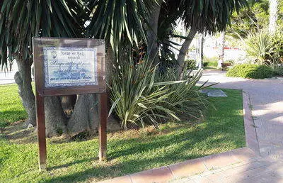 Gincana en Vélez-Málaga