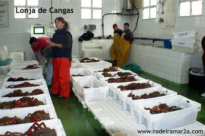 Cangas de Morrazo