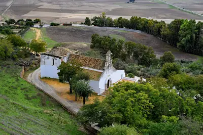 Carmona