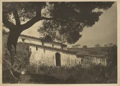 Mediona