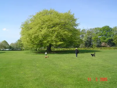 Teambuilding en Ciudad de Leeds