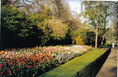 Gincana en Ciudad de Westminster