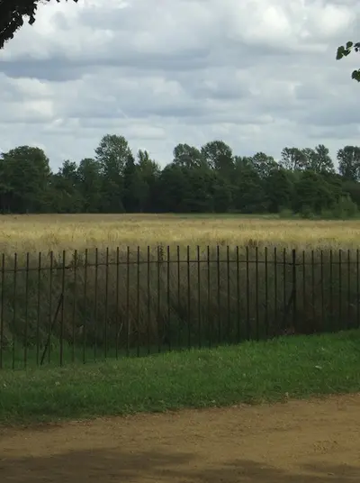 Oxford