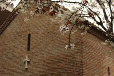 Tbilisi