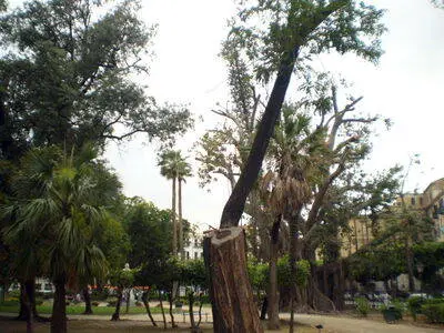 Palermo
