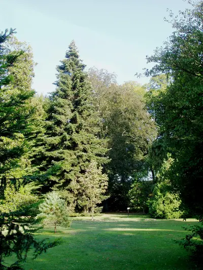 Lucca