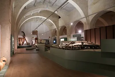 Pisa
