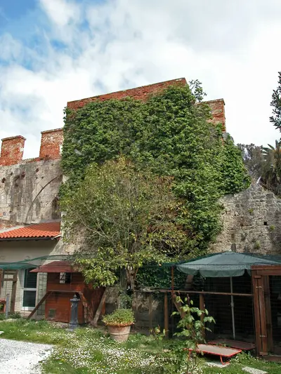 Pisa