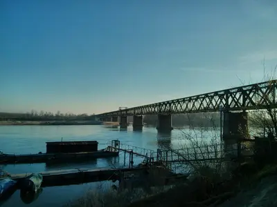 Pavia