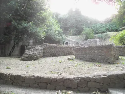 Roma