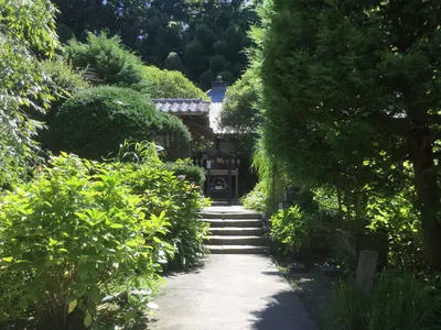 Gincana en Kamakura