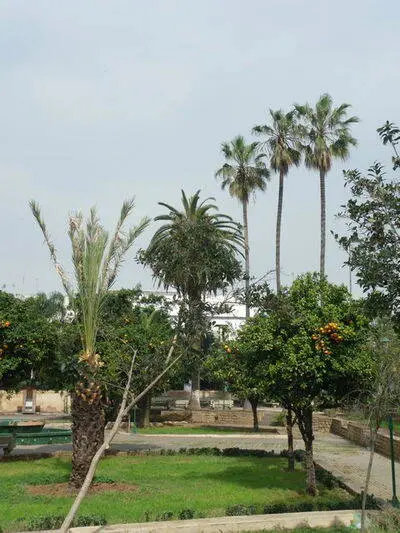 Rabat