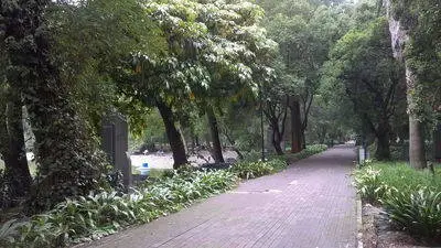 Miguel Hidalgo
