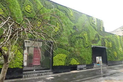 Cuauhtémoc