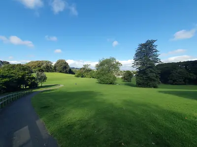 Auckland
