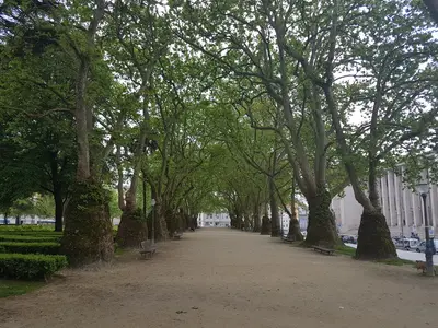 Cedofeita, Santo Ildefonso, Sé, Miragaia, São Nicolau e Vitória