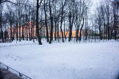 Saint Petersburg