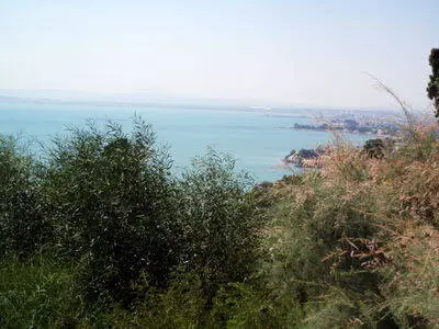 Gincana en Sidi Bou Said