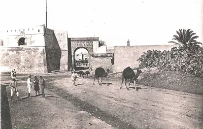 Túnez