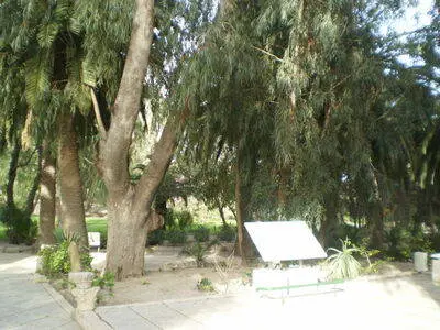 Gincana en Sidi Bou Said