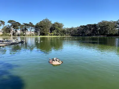 San Francisco