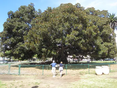 Gincana en San Diego