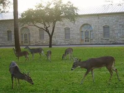 San Antonio