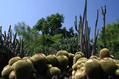 Pasadena