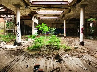 Bronx