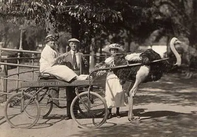 Pasadena