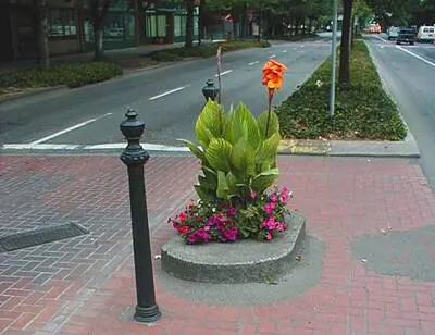 Portland