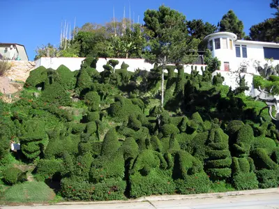 Gincana en San Diego