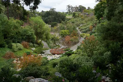 San Diego