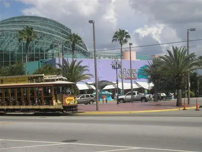 Gincana en Tampa